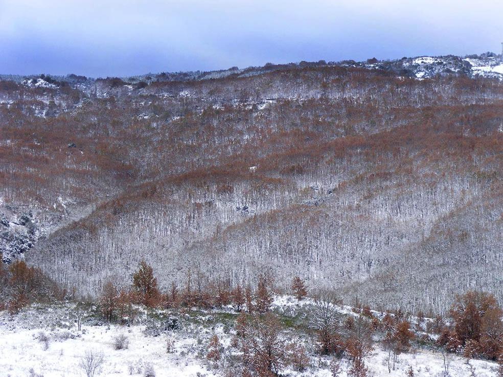 Гостевой дом La Gandara Casa Rural Сан-Хусто-де-Кабанильяс Экстерьер фото